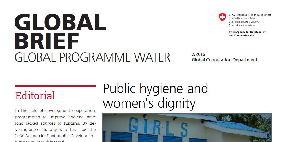 Picture_Global_Brief_Global_Programme_Water_2016_SDC
